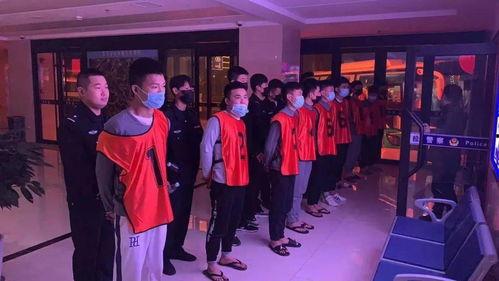 海南最新事件爆料视频大全,揭秘岛内热点事件全纪录